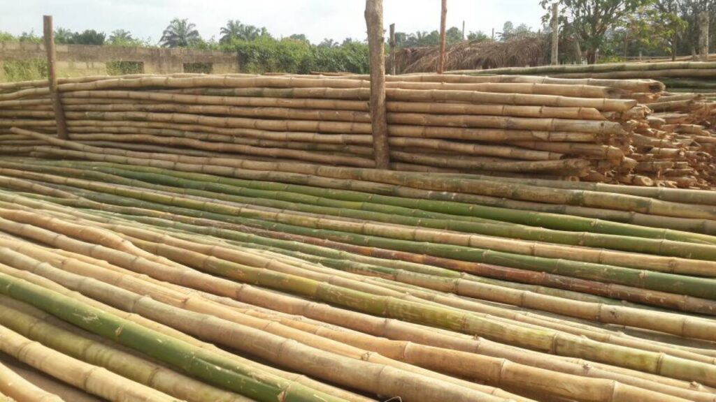 bamboo - What are the Most Affordable Building Materials in Nigeria-bullionrise consult